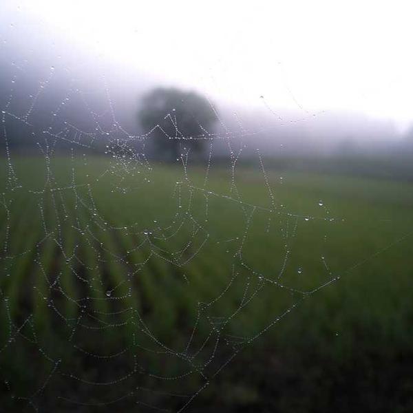 Luxury Villa Interior