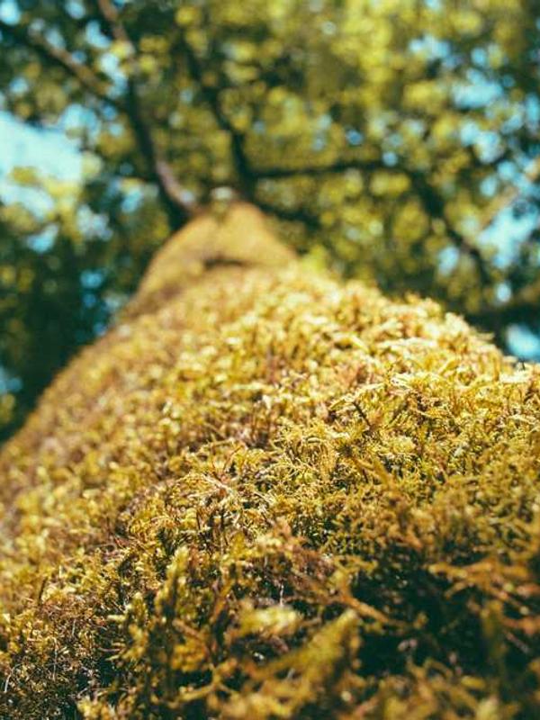 Boutique Hotel Lobby