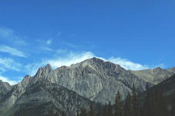 Public Art Sculpture